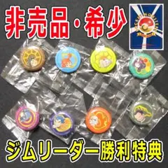 2026年最新】ジムバッジコレクションコンプリートセットの人気アイテム