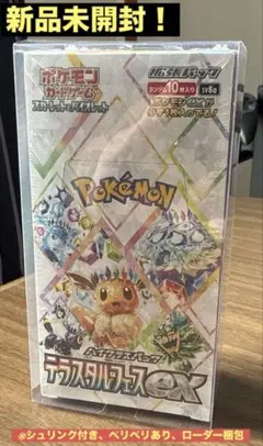2026年最新】ポケモンセンターオンライン テラスタルフェスの人気