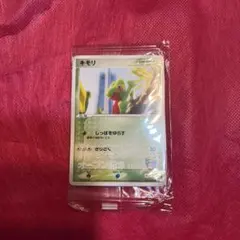 キモリ PROMO PCG-Pプロモカード 037/PCG-P - メルカリ