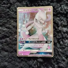 2026年最新】セット詳細：SML サン＆ムーン ファミリーポケモンカード