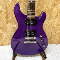 2026年最新】fernandes apgの人気アイテム - メルカリ