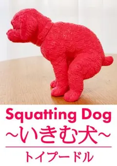 2026年最新】いきむ犬の人気アイテム - メルカリ