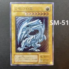 2026年最新】ブルーアイズホワイトドラゴン 初期 レリーフの人気