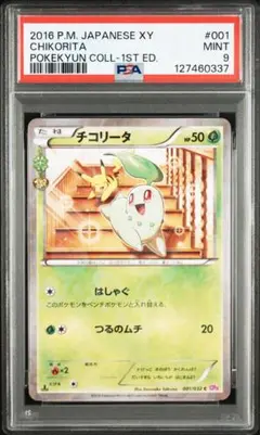 2026年最新】チコリータ ポケキュン psa10の人気アイテム - メルカリ