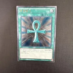 2026年最新】遊戯王 TRC 死者蘇生の人気アイテム - メルカリ