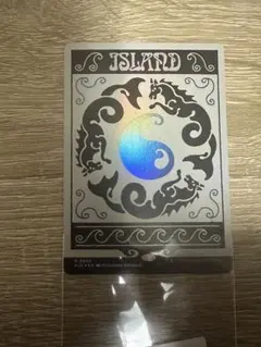 2026年最新】secret lair 土地の人気アイテム - メルカリ