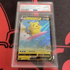 2026年最新】なみのりピカチュウv psa10の人気アイテム - メルカリ