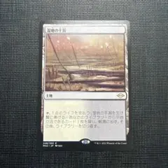 2026年最新】フェッチランドの人気アイテム - メルカリ