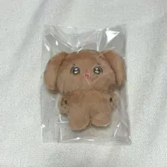 2026年最新】ドギョム ぬいぐるみの人気アイテム - メルカリ