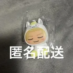 2026年最新】wolf howl harmony キーホルダーの人気アイテム - メルカリ
