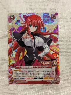 2026年最新】ハイスクールD×D ヴァイスの人気アイテム - メルカリ