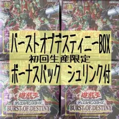 2026年最新】BURST OF DESTINYの人気アイテム - メルカリ