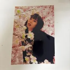 2026年最新】矢野桜の人気アイテム - メルカリ