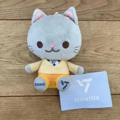 2025年最新】SEVENTEEN・ANIMAL・COORDY・ミニぬいぐるみ～SECTOR17