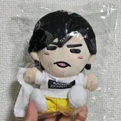 2026年最新】岡崎彪太郎 ちびぬいの人気アイテム - メルカリ