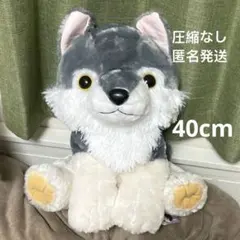 2026年最新】もふっとオオカミの人気アイテム - メルカリ