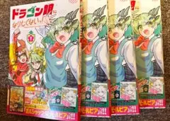 2026年最新】ドラゴン娘 プロモの人気アイテム - メルカリ