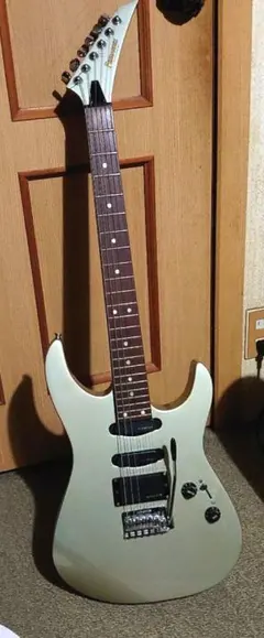 2026年最新】FERNANDES STJ-40の人気アイテム - メルカリ