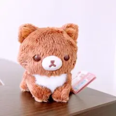 2026年最新】コリラックマ ストロベリーキャットの人気アイテム - メルカリ