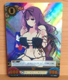 2026年最新】アンリミテッドヴァーサス 閃乱カグラの人気アイテム