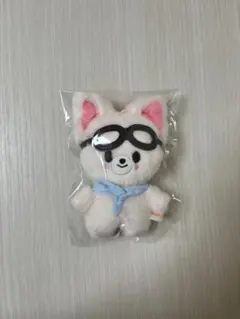 2026年最新】SKZOO 10cm アイエンの人気アイテム - メルカリ