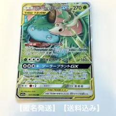 2026年最新】tag team gx 枚 まとめ ポケモンカードの人気アイテム