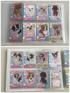 2026年最新】ワンタメカードの人気アイテム - メルカリ
