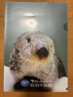 2026年最新】鳥羽水族館の人気アイテム - メルカリ