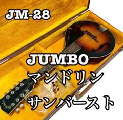 2026年最新】jumbo マンドリンの人気アイテム - メルカリ