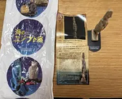 2026年最新】海のエジプト展の人気アイテム - メルカリ