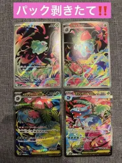 2026年最新】メガフシギバナexの人気アイテム - メルカリ