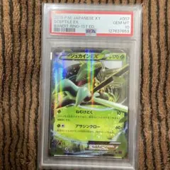 2026年最新】ジュカインex psa10の人気アイテム - メルカリ