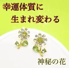 2025年最新】波動が変わる あなたが変わる 人生が変わるの人気アイテム
