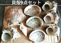 2026年最新】ほら貝 置物の人気アイテム - メルカリ