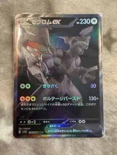 2026年最新】ゼクロムbwrの人気アイテム - メルカリ
