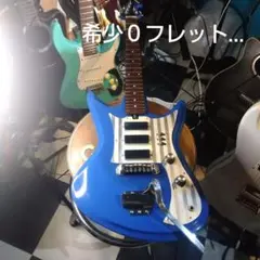2026年最新】teisco ピックアップの人気アイテム - メルカリ