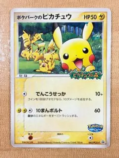 2026年最新】ポケパーク ピカチュウの人気アイテム - メルカリ