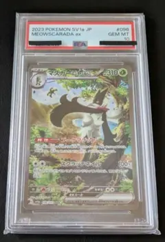2026年最新】マスカーニャ sar psa10の人気アイテム - メルカリ