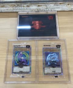 PSA 海 UMI / 遊戯王 Yu gi oh PSA10 スターターボックス