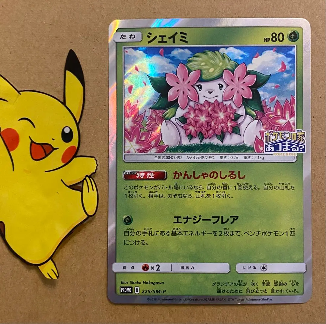 2026年最新】ポケモンカード シェイミ しょこたんの人気アイテム