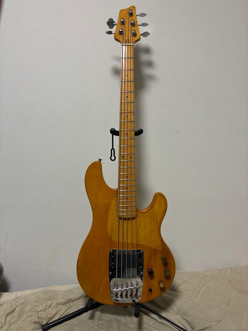 2026年最新】IBANEZ ATK 5弦の人気アイテム - メルカリ