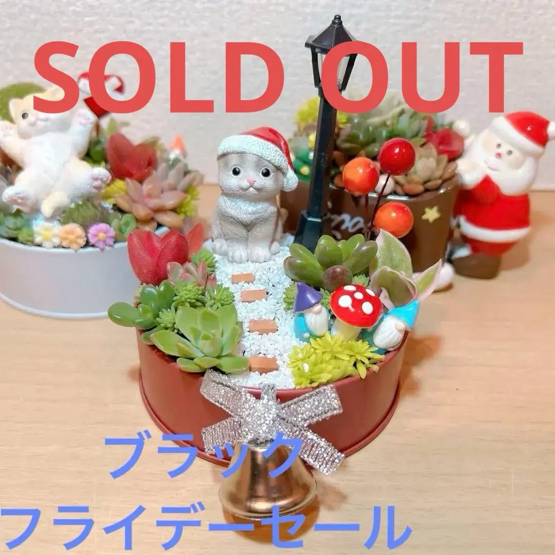 2026年最新】そのまま飾れる多肉寄植えの人気アイテム - メルカリ