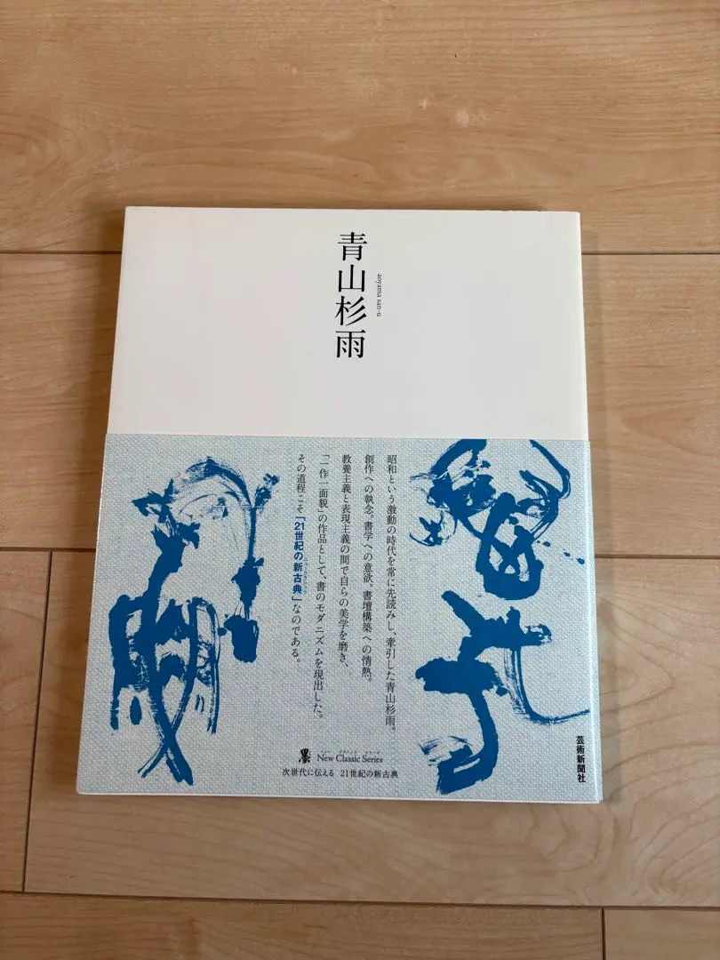 2026年最新】図録 青山杉雨の人気アイテム - メルカリ