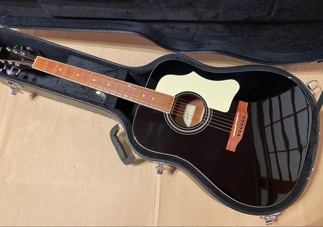 2026年最新】epiphone dr-100の人気アイテム - メルカリ