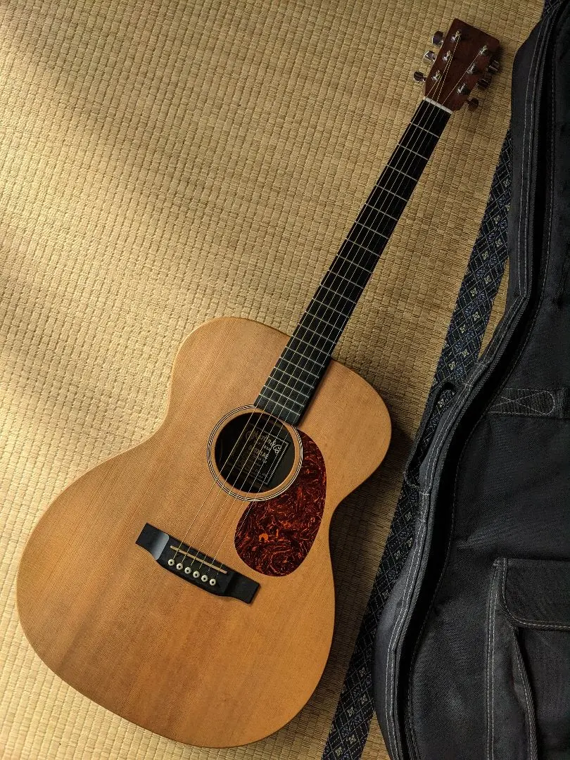 2026年最新】PRO MARTIN アコギの人気アイテム - メルカリ