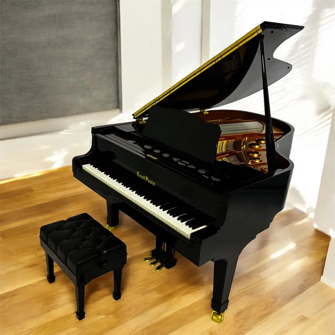 2026年最新】grand pianistの人気アイテム - メルカリ