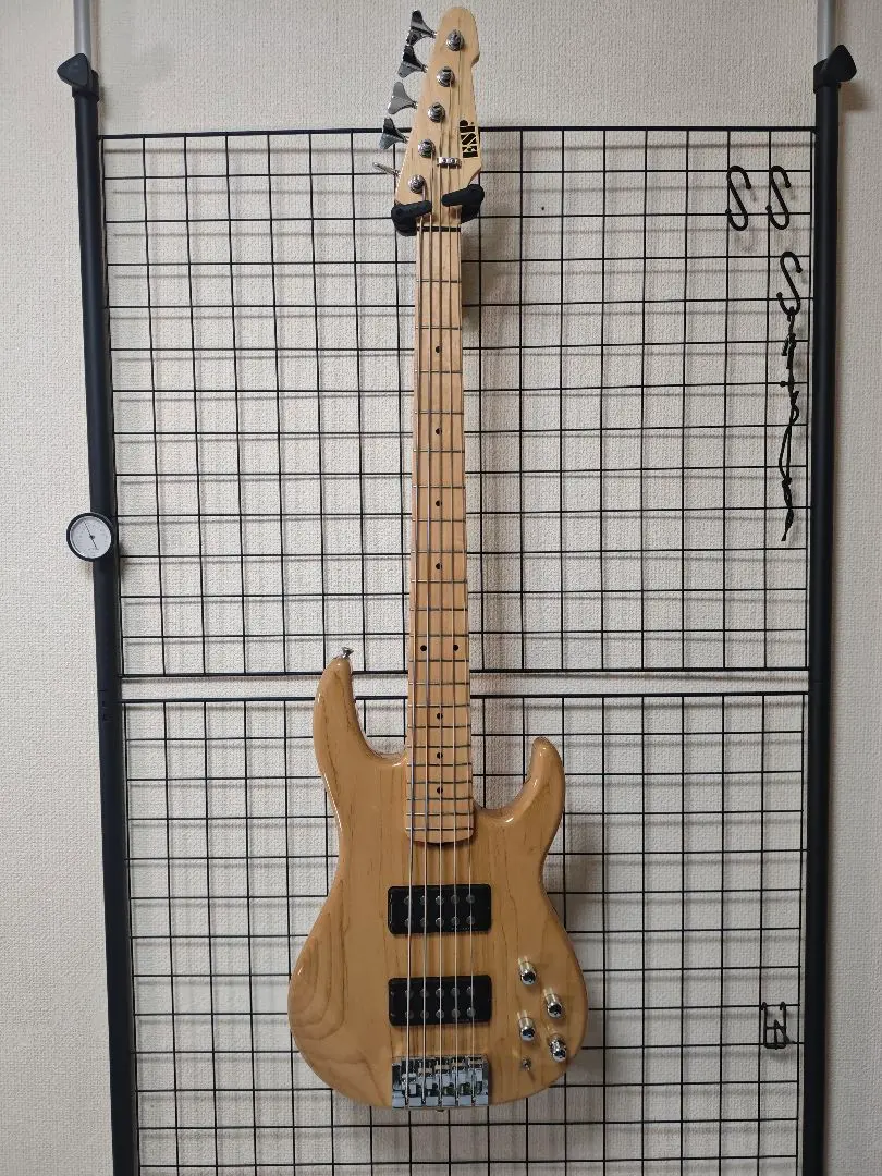 2026年最新】ESP AP-SLの人気アイテム - メルカリ