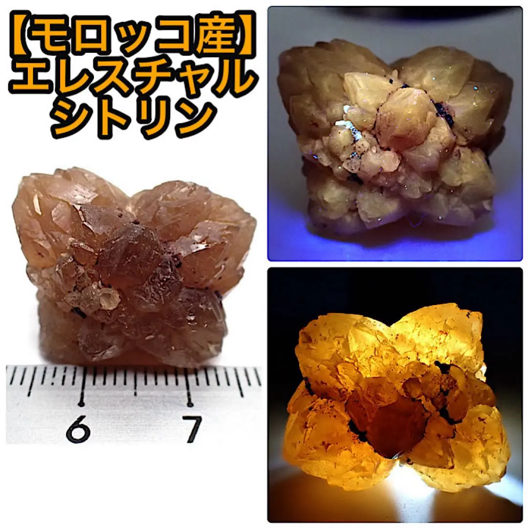 2026年最新】骸晶の人気アイテム - メルカリ
