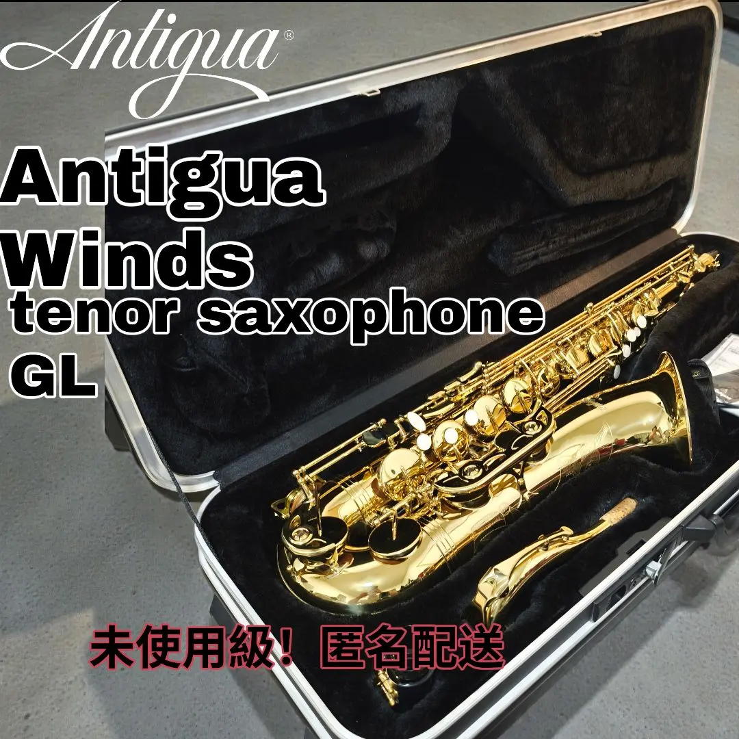 2026年最新】antigua サックスの人気アイテム - メルカリ
