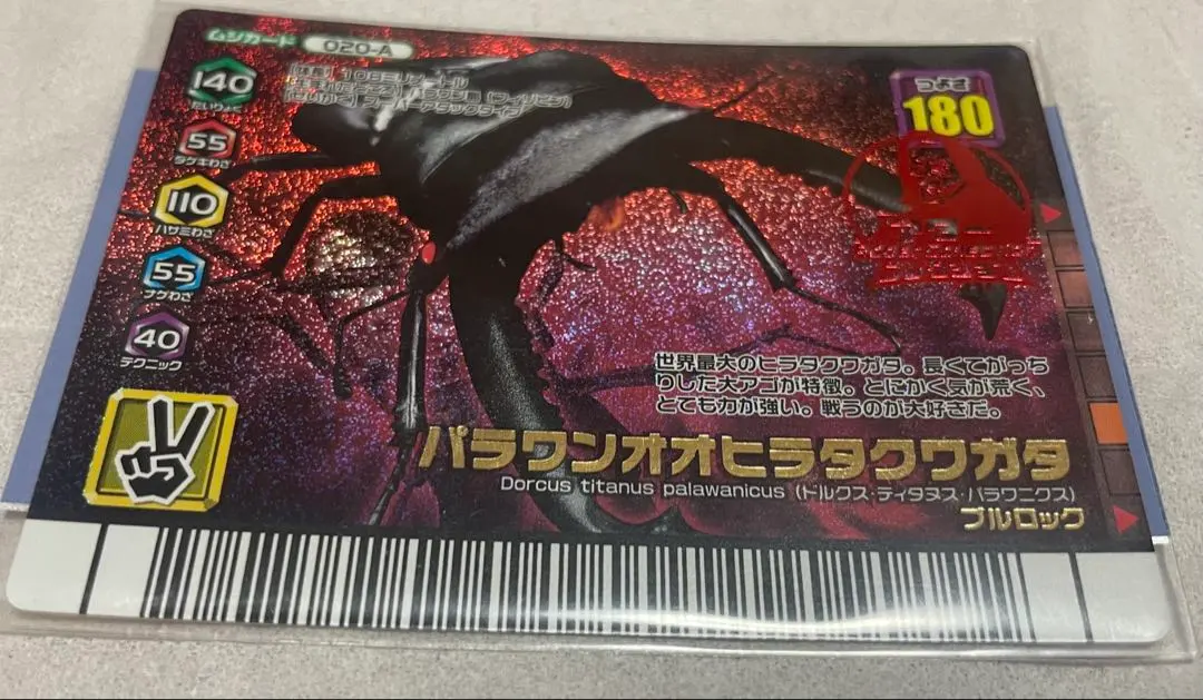 2026年最新】パラワンオオヒラタクワガタ アダーの人気アイテム - メルカリ